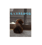 可愛いすぎるラッキーちゃん（個別スタンプ：3）