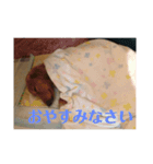 可愛いすぎるラッキーちゃん（個別スタンプ：6）