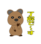 世界一幸せな動物クオッカ（個別スタンプ：4）