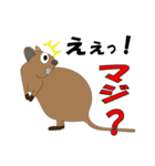 世界一幸せな動物クオッカ（個別スタンプ：5）