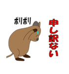 世界一幸せな動物クオッカ（個別スタンプ：7）