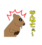 世界一幸せな動物クオッカ（個別スタンプ：8）