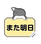 もふねこ「すのー」＜付箋メッセージ1＞（個別スタンプ：24）