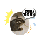 モモンガー2（個別スタンプ：12）