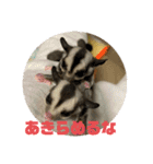 モモンガー2（個別スタンプ：14）