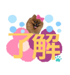 ポメラニアン 姫ちゃん⑨（個別スタンプ：24）