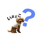 パルのまいにち②（個別スタンプ：14）