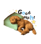 パルのまいにち①（個別スタンプ：4）