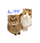 楓詩と來椛（個別スタンプ：3）