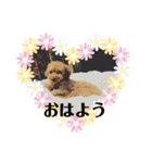 かわいいアルのスタンプ（個別スタンプ：1）