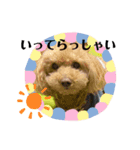 かわいいアルのスタンプ（個別スタンプ：2）