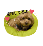かわいいアルのスタンプ（個別スタンプ：4）