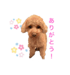 クルミとモネスタンプ（個別スタンプ：4）