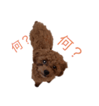クルミとモネスタンプ（個別スタンプ：9）