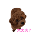 クルミとモネスタンプ（個別スタンプ：13）