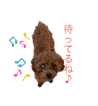 クルミとモネスタンプ（個別スタンプ：15）