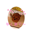 クルミとモネスタンプ（個別スタンプ：17）