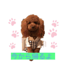 クルミとモネスタンプ（個別スタンプ：18）