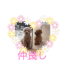 クルミとモネスタンプ（個別スタンプ：25）