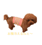 クルミとモネスタンプ（個別スタンプ：28）