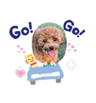 クルミとモネスタンプ（個別スタンプ：34）