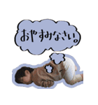 太陽のすたんぷ／(^o^)＼（個別スタンプ：9）