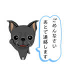 元気な鼻ぺちゃ犬（個別スタンプ：1）