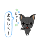 元気な鼻ぺちゃ犬（個別スタンプ：11）