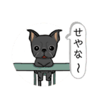 元気な鼻ぺちゃ犬（個別スタンプ：15）