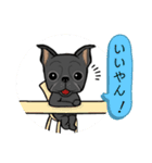 元気な鼻ぺちゃ犬（個別スタンプ：16）