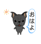 元気な鼻ぺちゃ犬（個別スタンプ：23）