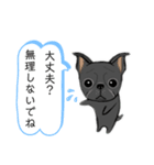 元気な鼻ぺちゃ犬（個別スタンプ：30）