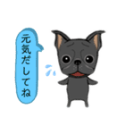 元気な鼻ぺちゃ犬（個別スタンプ：31）