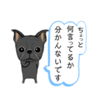 元気な鼻ぺちゃ犬（個別スタンプ：40）