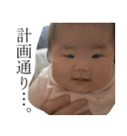 TKGファミリーの専用スタンプ(Ver3)（個別スタンプ：1）