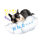 レイちいスタンプ③（個別スタンプ：9）
