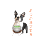レイちいスタンプ③（個別スタンプ：10）