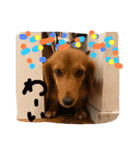 僕と私の日常（個別スタンプ：7）