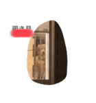 僕と私の日常（個別スタンプ：31）
