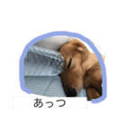 僕と私の日常（個別スタンプ：40）
