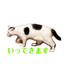 ギンとスズその2（個別スタンプ：5）
