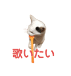 ギンとスズその2（個別スタンプ：6）