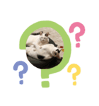ギンとスズその2（個別スタンプ：8）