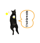 マメヲさんとミケコさん③（個別スタンプ：4）
