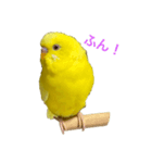 僕のピーちゃん（個別スタンプ：4）