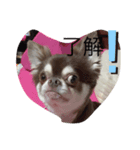 まいけるくん（個別スタンプ：5）