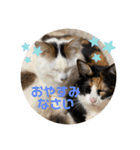 ふくりんスタンプ（個別スタンプ：3）