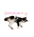 ふくりんスタンプ（個別スタンプ：8）