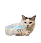 ふくりんスタンプ（個別スタンプ：12）
