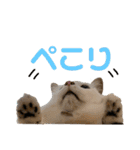 ふくりんスタンプ（個別スタンプ：21）